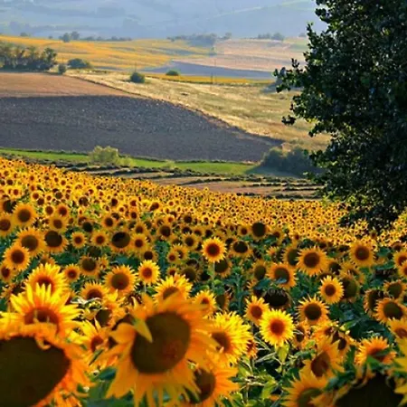 Via Ripe *