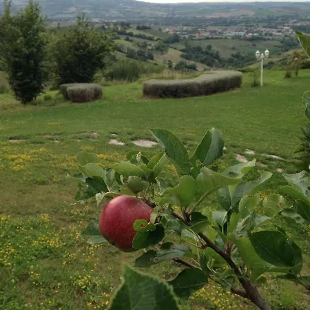 Via Ripe